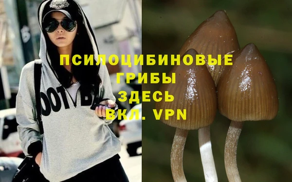 mdpv Волосово