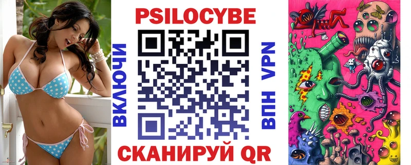 mega сайт  Димитровград  Галлюциногенные грибы Psilocybe 