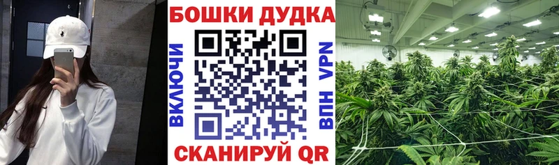 Марихуана семена  ОМГ ОМГ зеркало  Димитровград 